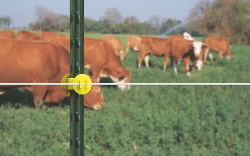 Imagen de Alambre para Cerco Eléctrico